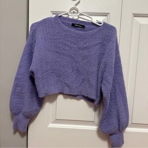 Olivaceous Purple Fuzzy Cropped Sweater